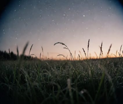 Dawn Dance Session